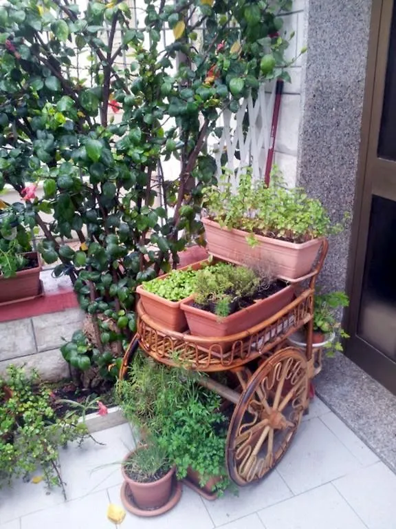Bed and Breakfast Briciole Di Gusto à Lecce 2*,